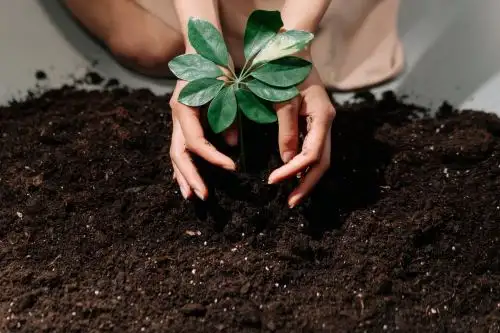 Las empresas deben gestionar sosteniblemente los recursos hídricos, logrando un acceso universal y equitativo del agua para mejorar la calidad de vida a nivel global.   ANDINA/Difusión