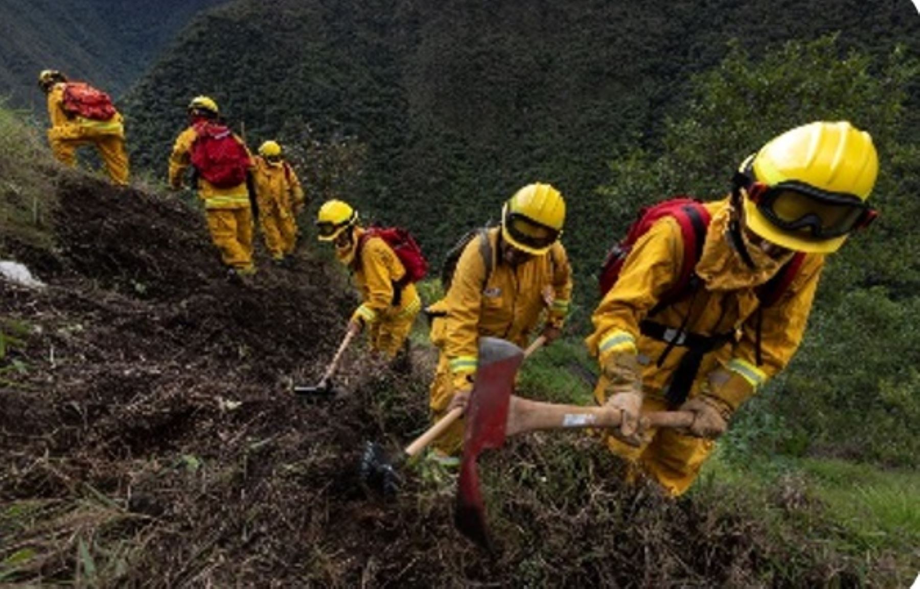 Sernanp: prevención y capacitación son las mejores armas para frenar incendios forestales