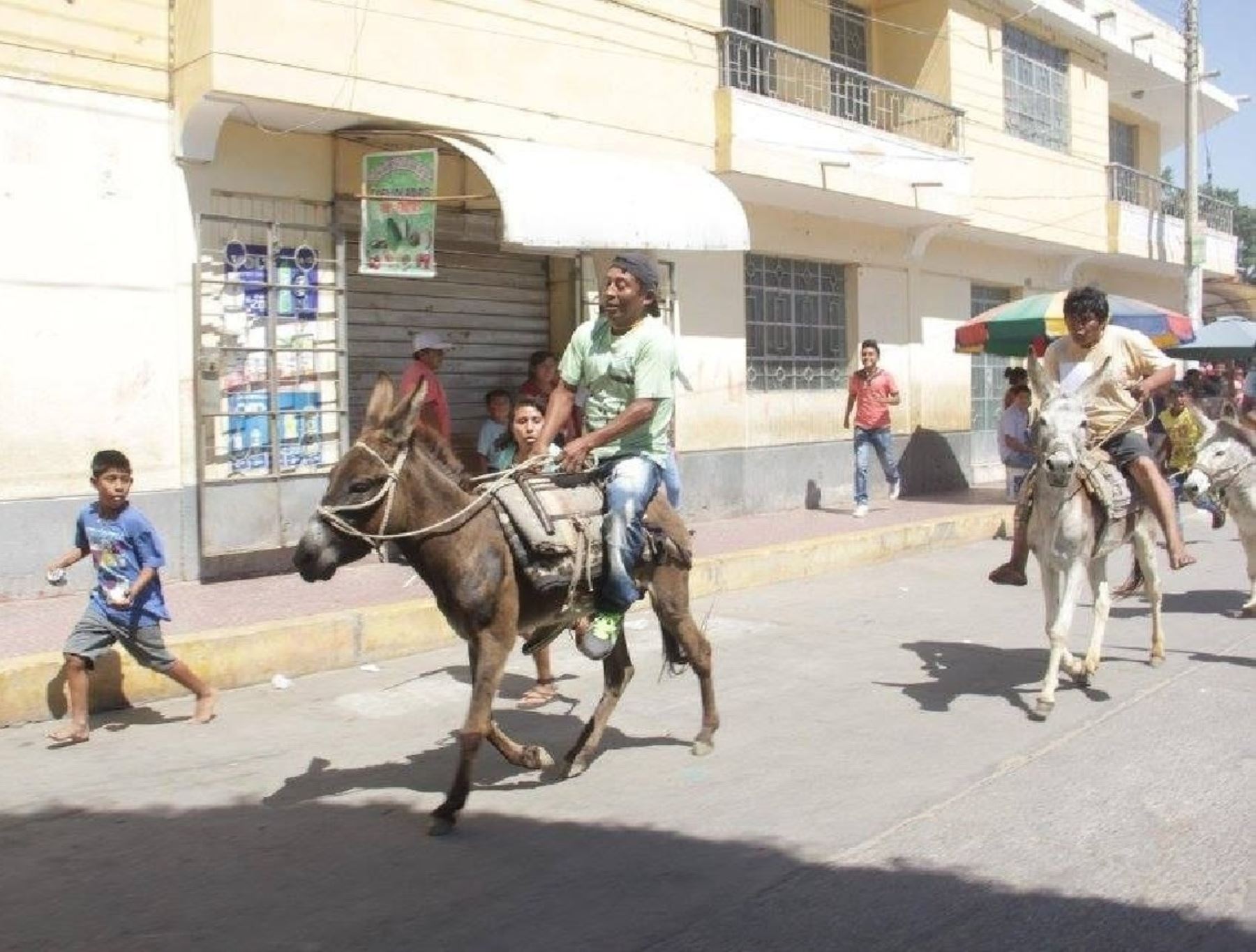 Con la tradicional carrera de burros, el distrito de Catacaos, en Piura, celebrará su aniversario 198 de creación política. ANDINA/Difusión