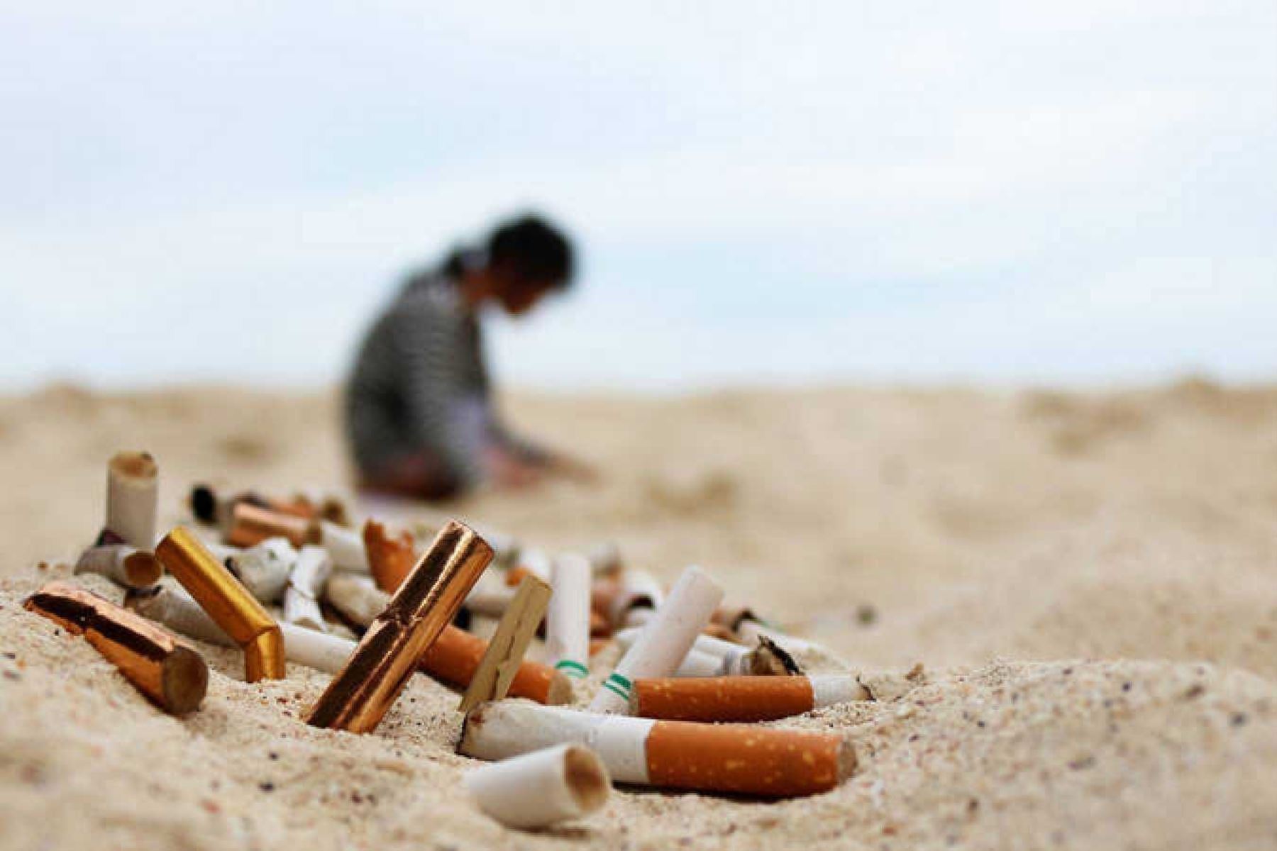 Alertan sobre el grave impacto de la contaminación de los océanos por residuos de cigarrillos. Foto: Cortesía.