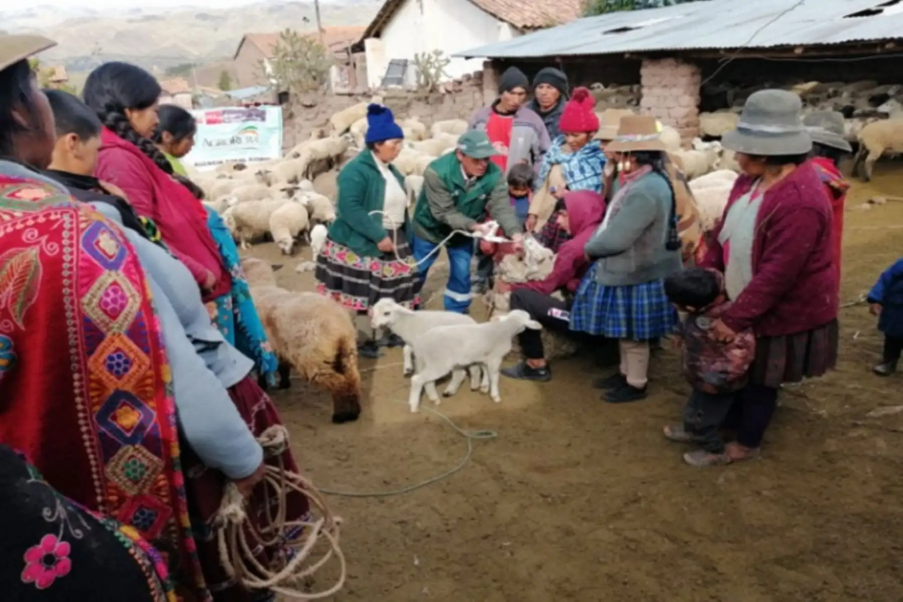 Agro Rural continúa trabajando para el cierre de brechas prioritarias en zonas de cultivo y cobertizos para el ganado.