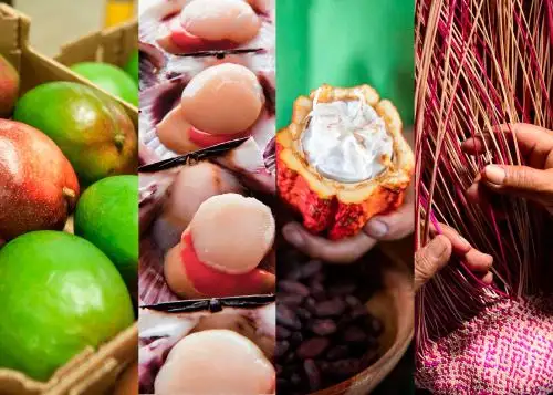 Las principales líneas nacionales a promocionar serán las de frutas frescas, procesados, café, cacao, pesca, acuicultura y artículos de decoración del hogar; destacando productos como mango, palta, limón, banano, entre otros. Cortesía Promperú.