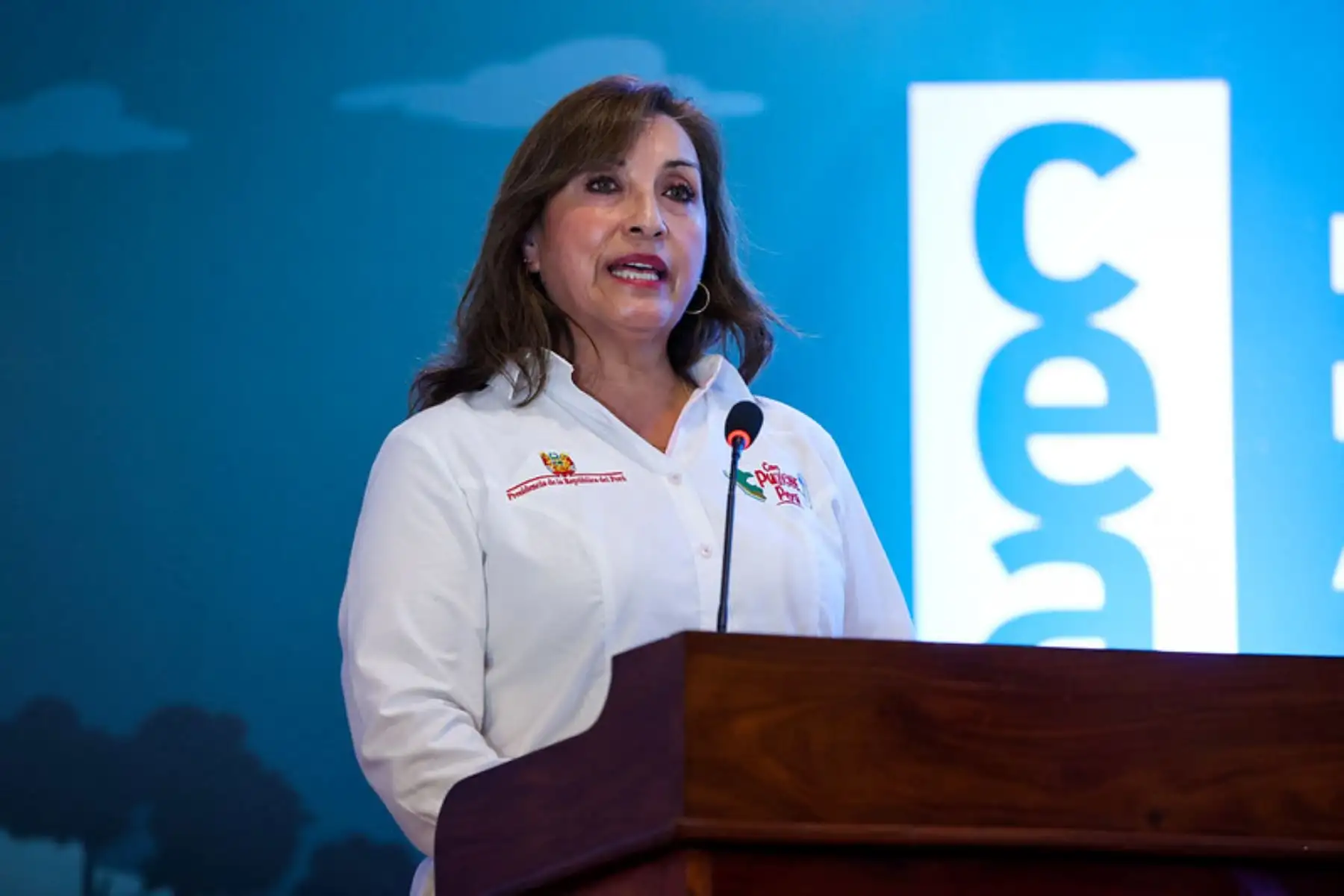 ANDINA/Prensa Presidencia