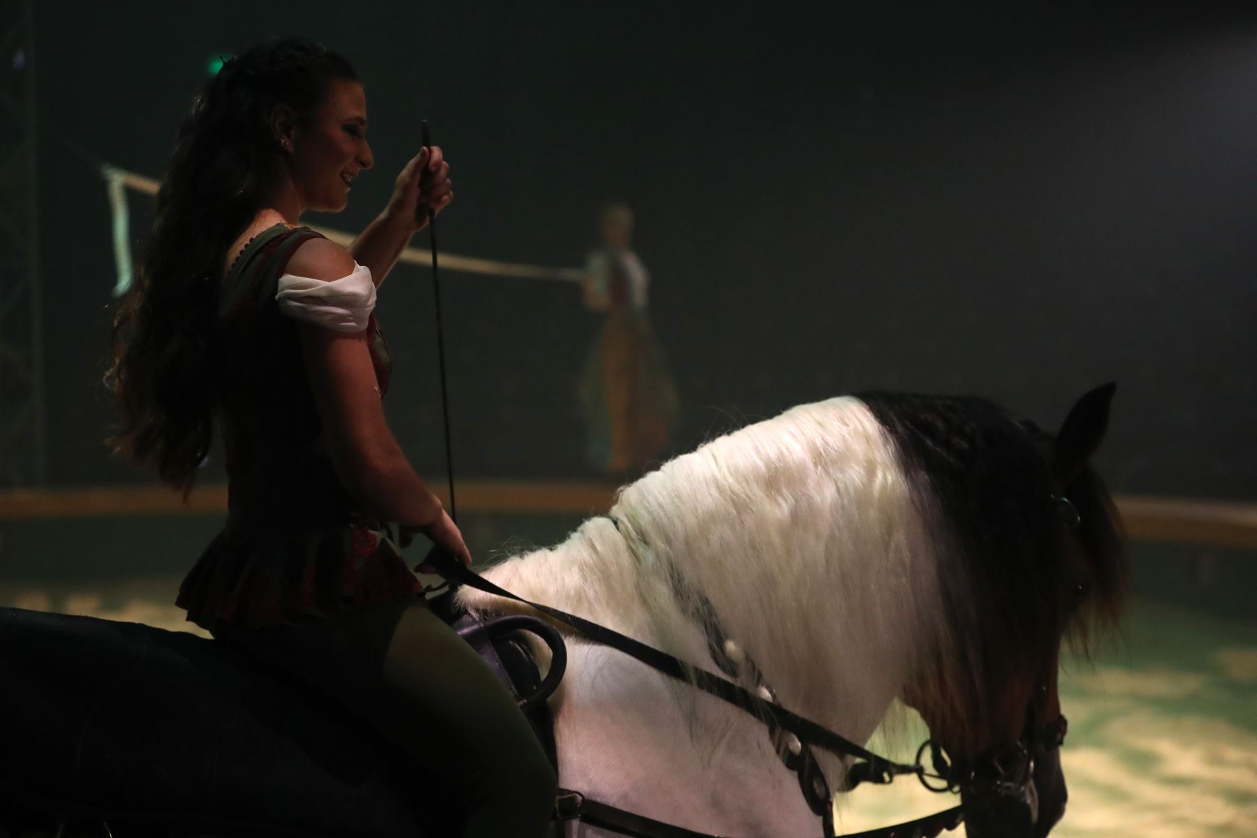 Con Camborio, el nuevo espectáculo de la Tarumba de este 2023, vuelven los caballos artistas, después de 3 años de su ausencia en los espectáculos. Foto: ANDINA/Daniel Bracamonte