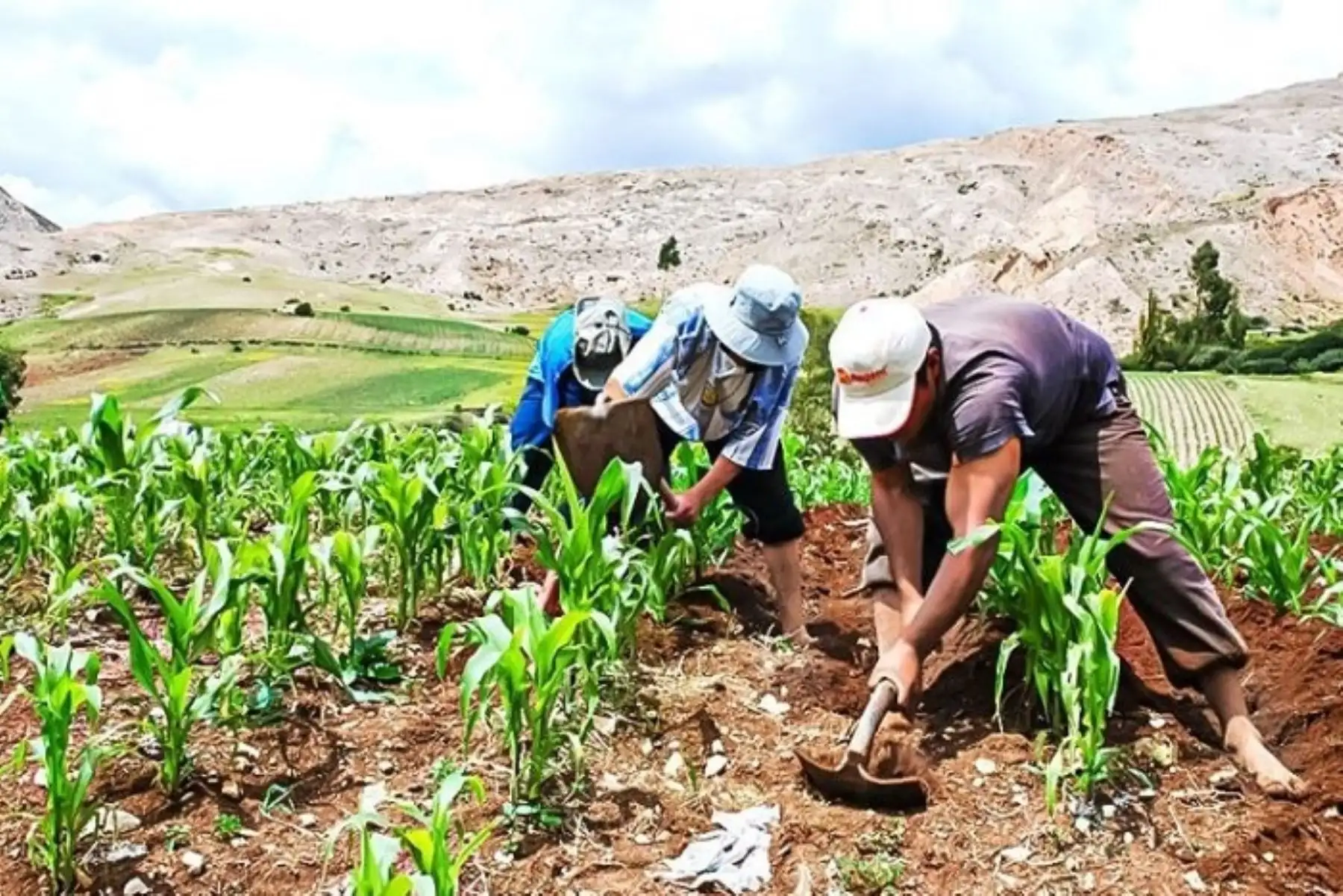 Huánuco: meta del Midagri es entregar 66,000 títulos de predios rurales este año