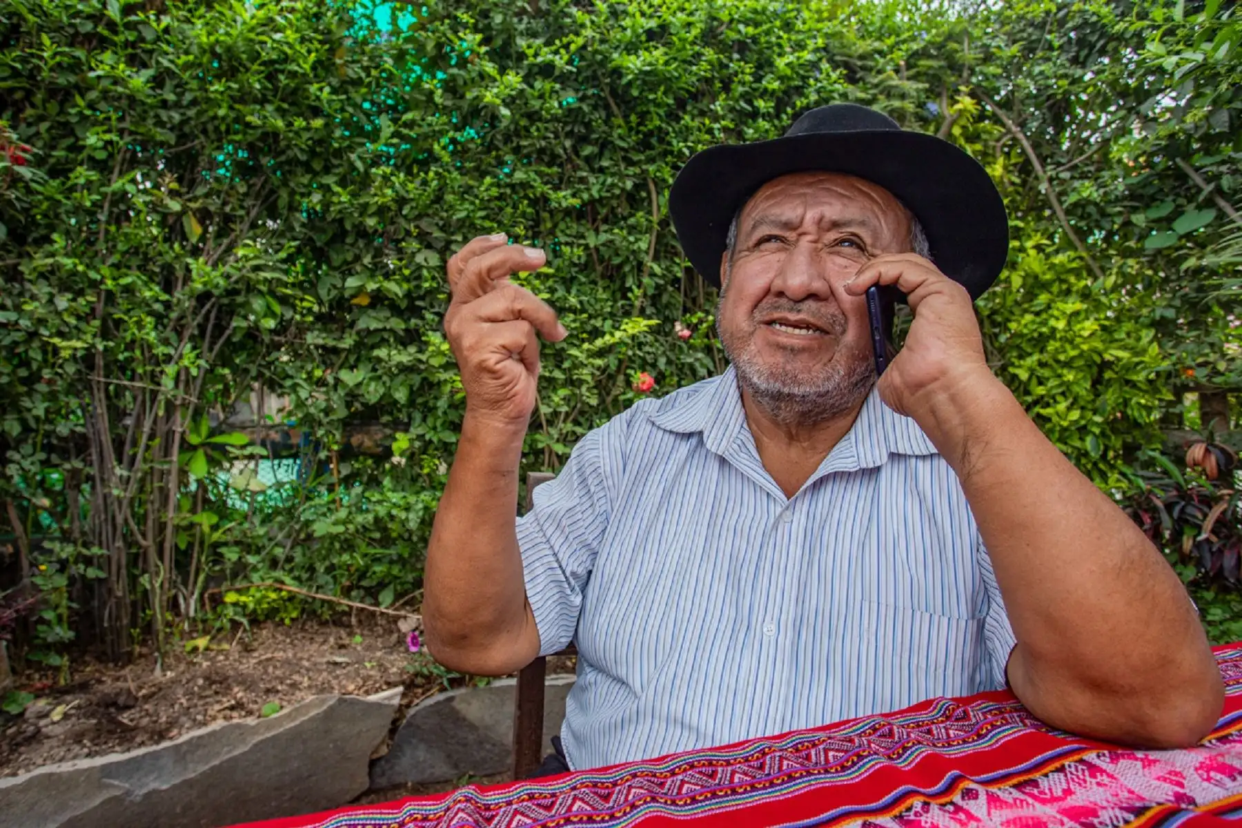 Foto: ANDINA/difusión.