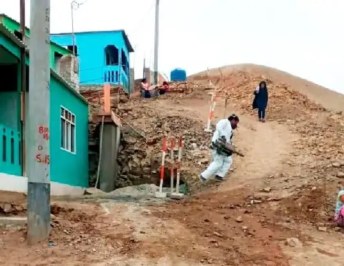 Autoridades de Salud de Áncash anunciaron la intervención de 65,000 viviendas en el distrito de Nuevo Chimbote para combatir la propagación del dengue.