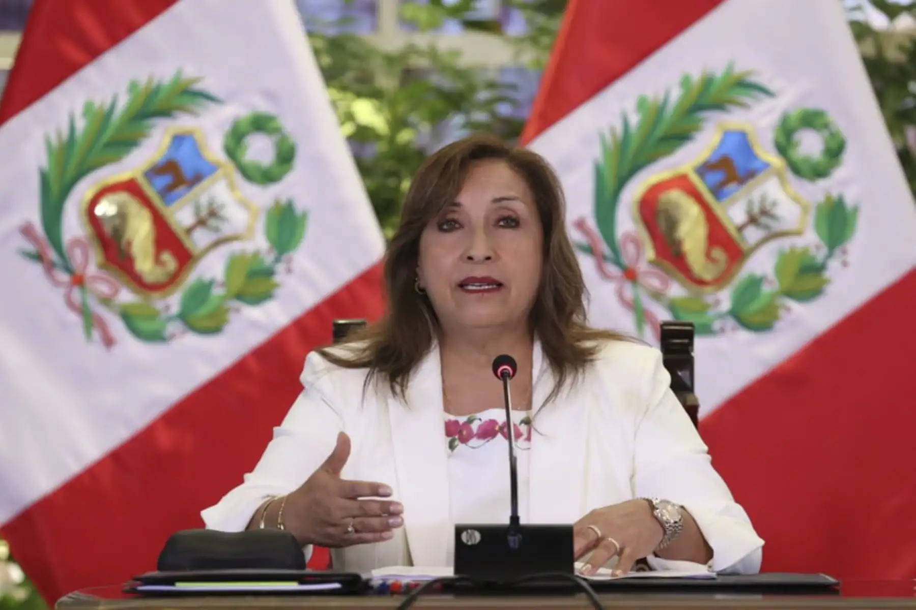 ANDINA/Prensa Presidencia