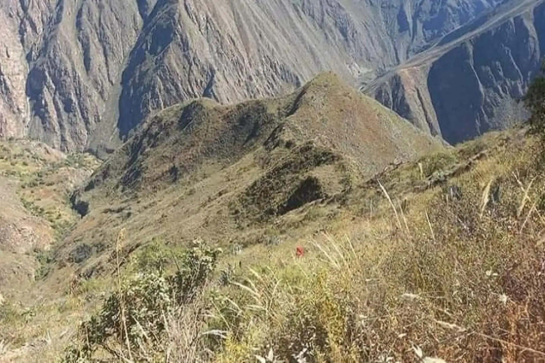 Los heridos han sido identiticados como Ulises Sánchez Angulo (30), Jhonatan Tandaypan Valverde (29), Paolo Laureado Vargas(30),  Cleyner Cenizario López (24) y Jeancarlo Otiliano Alambrado (21).