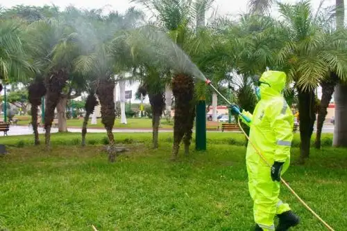 Los árboles ayudan a reducir temperatura del suelo urbano. ANDINA/Difusión