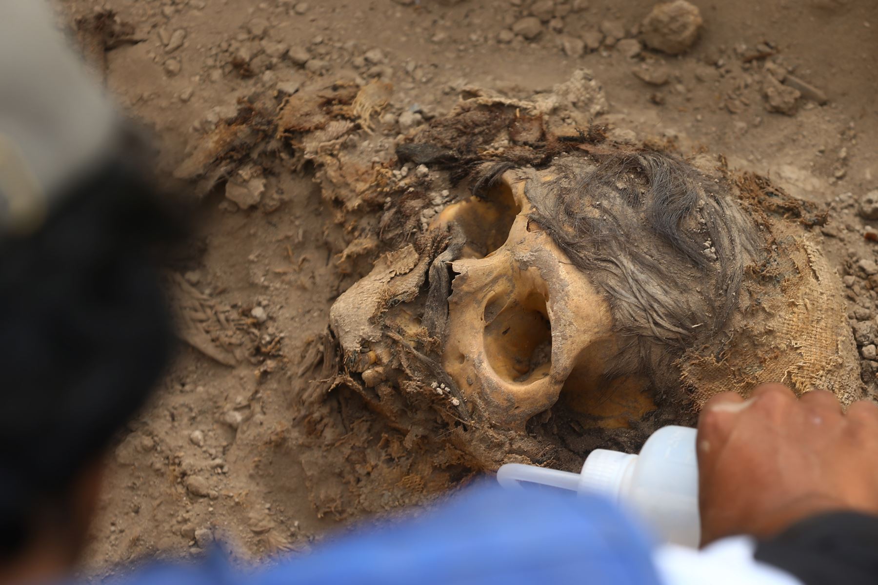 Inicialmente se hallaron pedazos de cabellos para posteriormente encontrar el cráneo y la tumba de piedra, envuelta en un fardo funerario, informaron voceros del municipio distrital. Foto: ANDINA/Eddy Ramos
