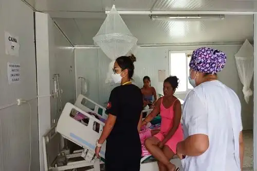 En Tumbes se encuentran presentes dos de los cuatro serotipos del virus del dengue, que son el DENV-1 y DENV-2.