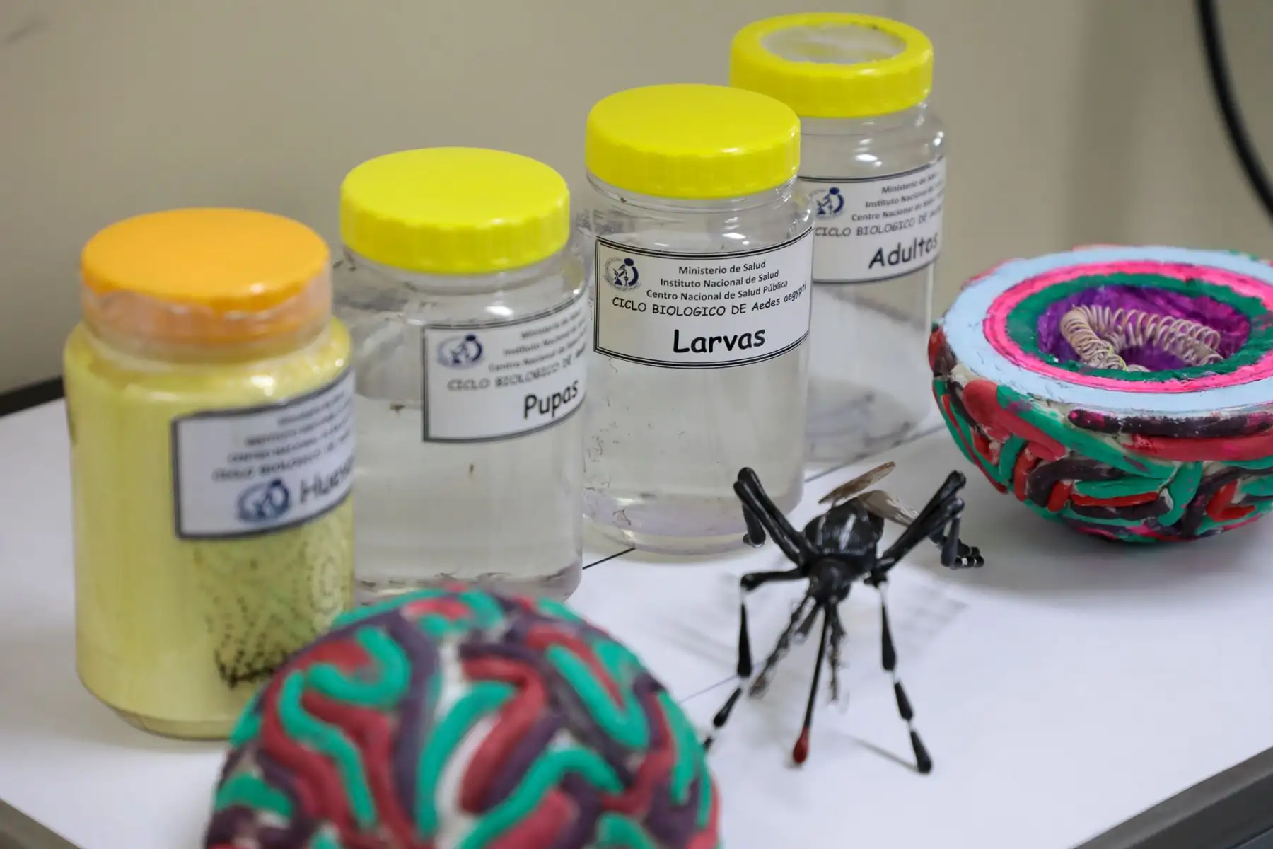 Instituto Nacional de Salud INS informa sobre reducción de casos de dengue en el Perú

Foto: ANDINA/Difusión