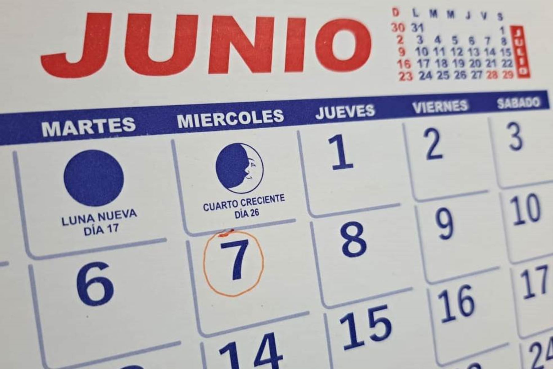 El 7 de junio será feriado nacional: publican ley aprobada por insistencia. Foto: ANDINA/difusión.
