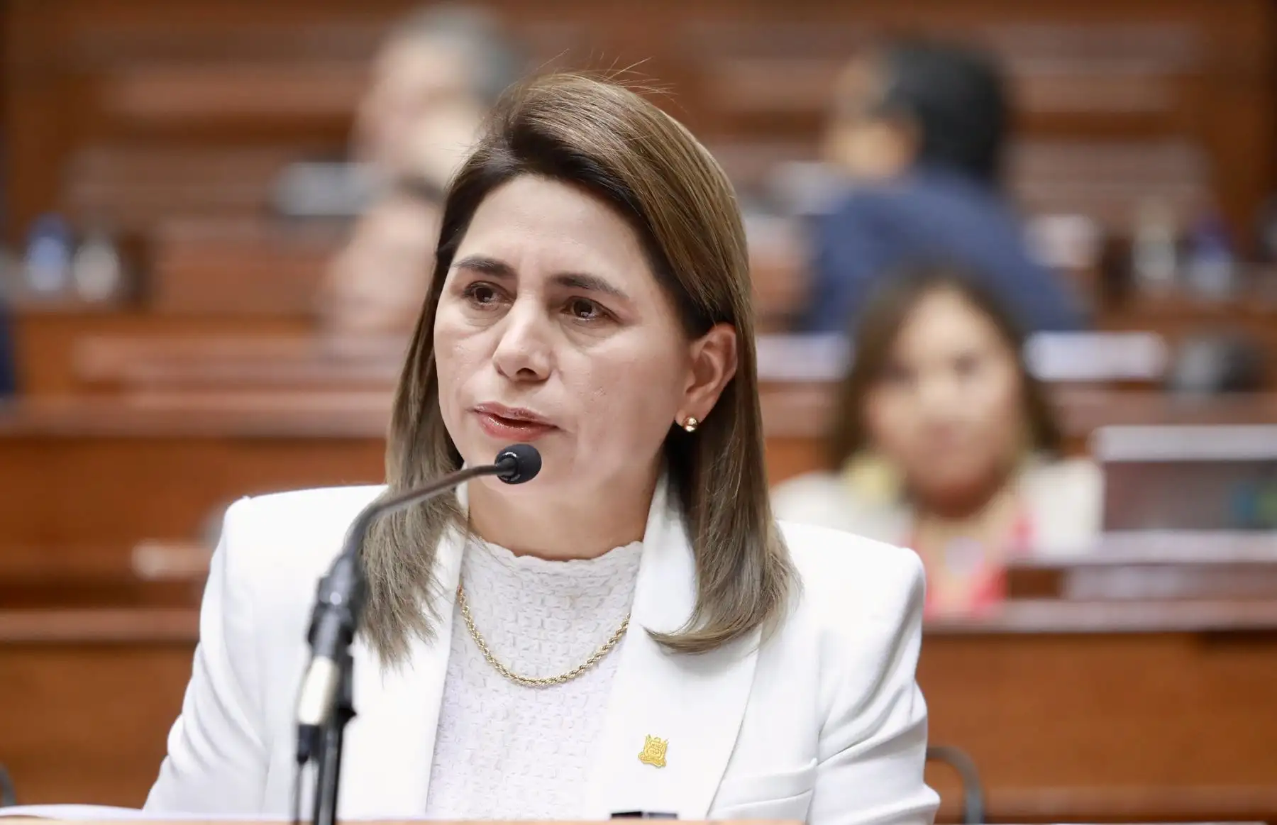 La ministra de Salud, Rosa Gutiérrez, anunció esta noche que presentó su carta de renuncia al cargo y afirmó que desde donde esté, continuará trabajando por el bien del país.
Foto: ANDINA/Congreso