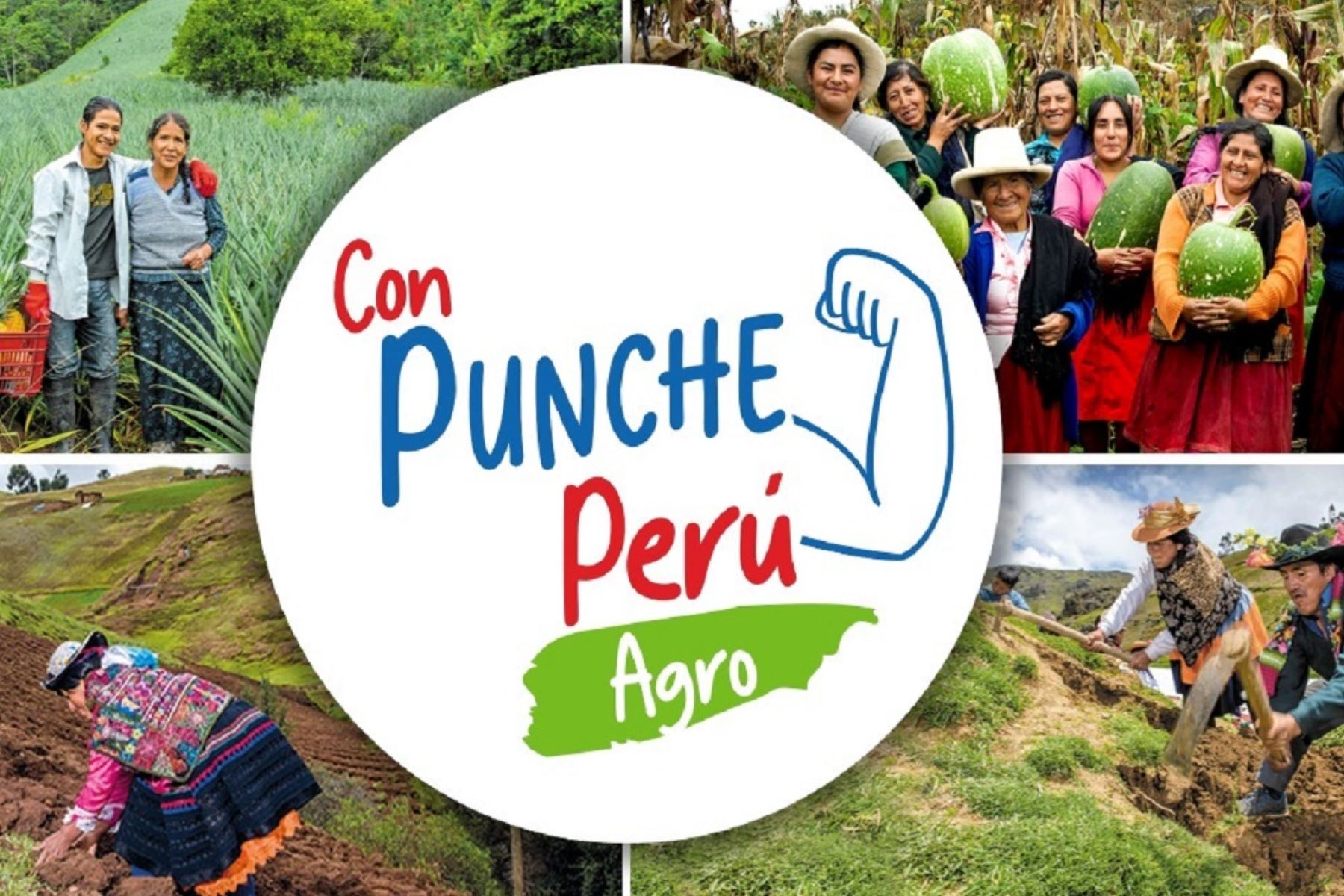 Con Punche Perú Agro entrega más créditos a pequeños productores