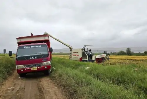 ANDINA/Difusión
