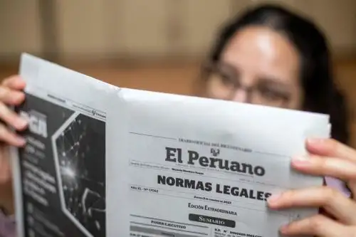 El grupo de personas que dijeron ser arqueólogos, se identificaron como Hironori Otani, Erick, Carlos y Alex o Alexander.  ANDINA/archivo.