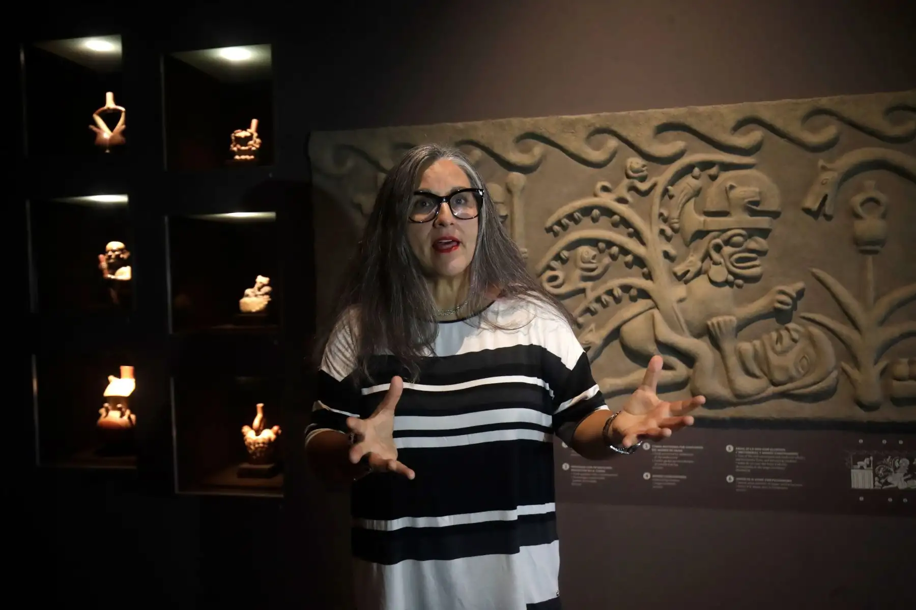 Ulla Sarela Holmquist Pachas, Directora del Museo Larco de Pueblo Libre.

Foto: ANDINA/Juan Carlos Guzmán Negrini