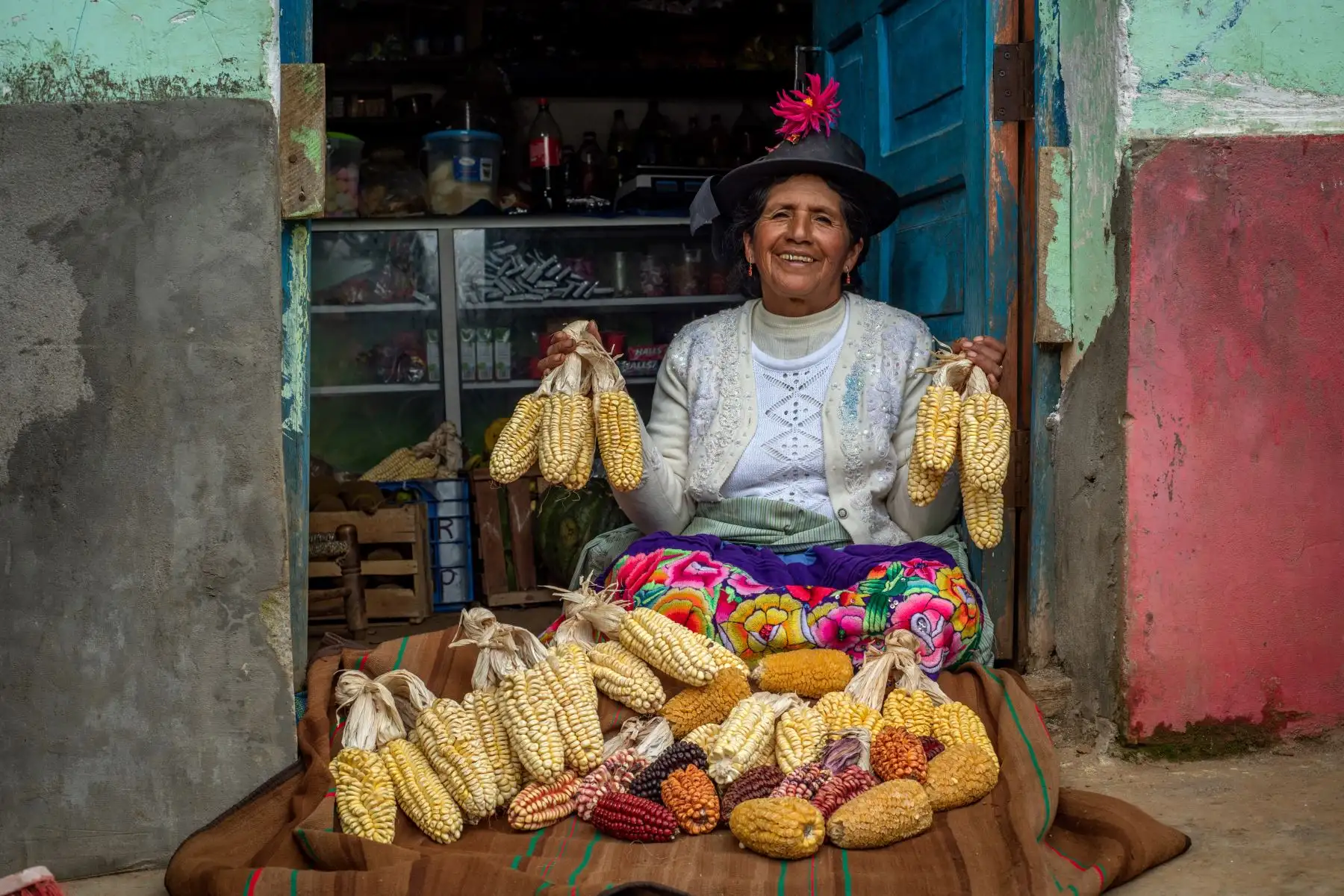 Se atendió durante estos 05 años de ejecución a alrededor de 33 distritos del área periférica del VRAEM de las regiones de Apurímac, Ayacucho, Cusco, Huancavelica y Junín, beneficiando directamente a más de 50 mil familias, con el fin de contribuir a la reducción de la pobreza y pobreza extrema de esta población rural priorizada
Foto: MIDAGRI