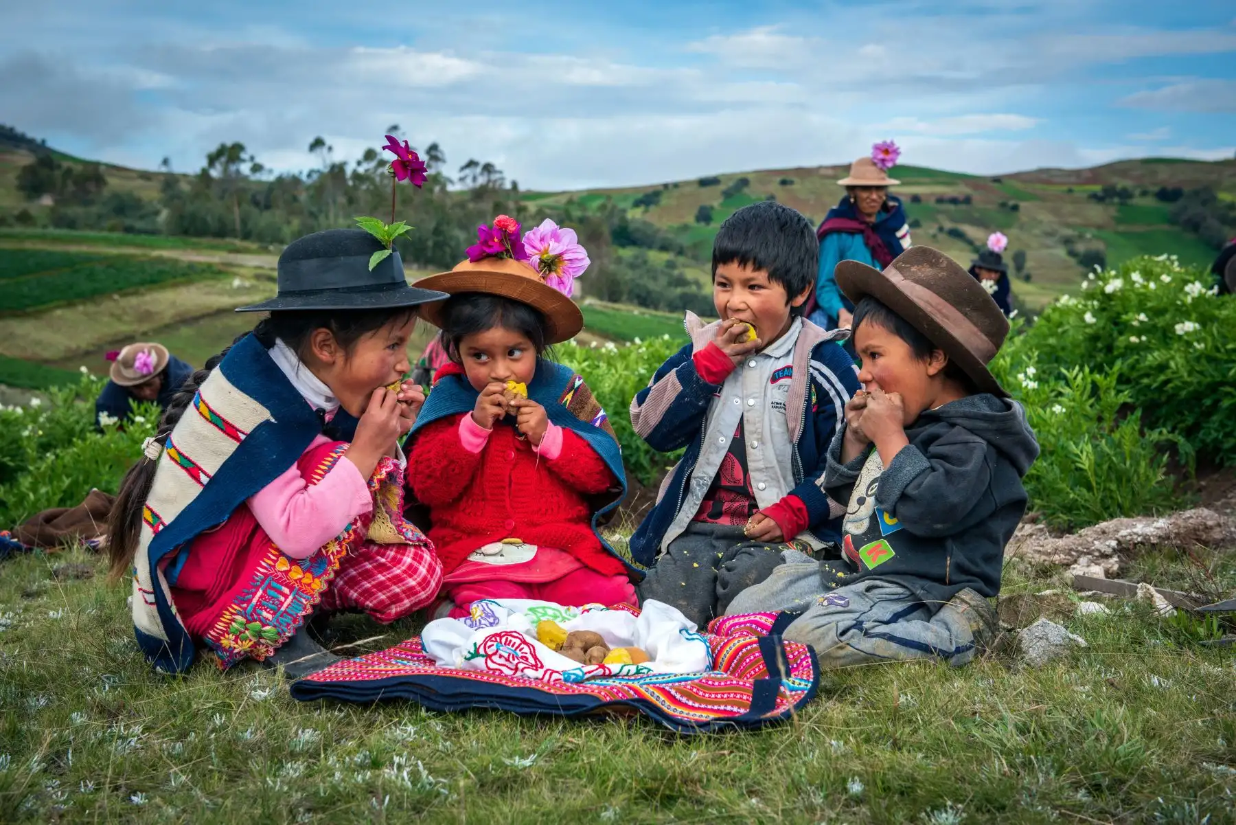Las publicaciones narran los logros de los planes de desarrollo territorial comunal y planes de vida, se han desarrollado mediante concursos familiares e interfamiliares convocados por el proyecto
Foto: MIDAGRI