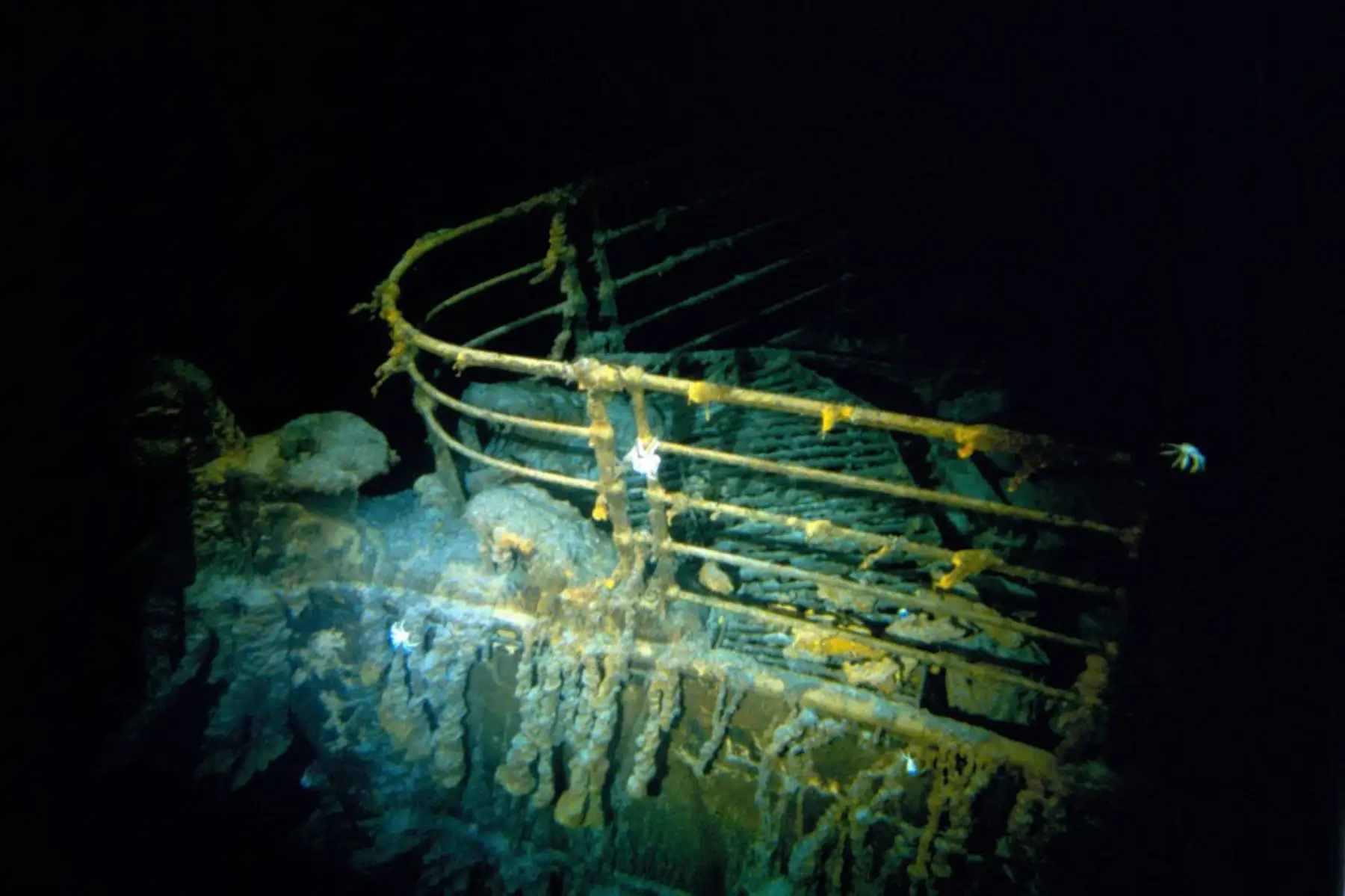 Imagen tomada durante la inmersión histórica de 1986, cortesía de WHOI y publicada el 15 de febrero de 2023, muestra la proa del Titanic. Una embarcación sumergible utilizada para llevar a los turistas a ver los restos del Titanic en el Atlántico Norte desapareció, lo que desencadenó una operación de búsqueda y rescate, dijo la Guardia Costera de EE. UU. el 19 de junio de 2023. Foto: AFP