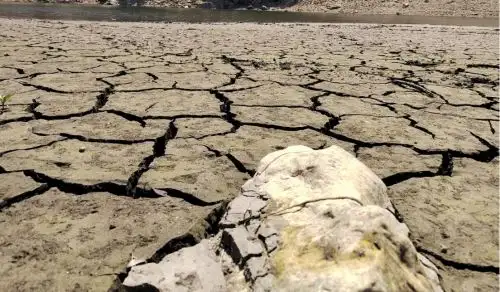 ANDINA/Difusión