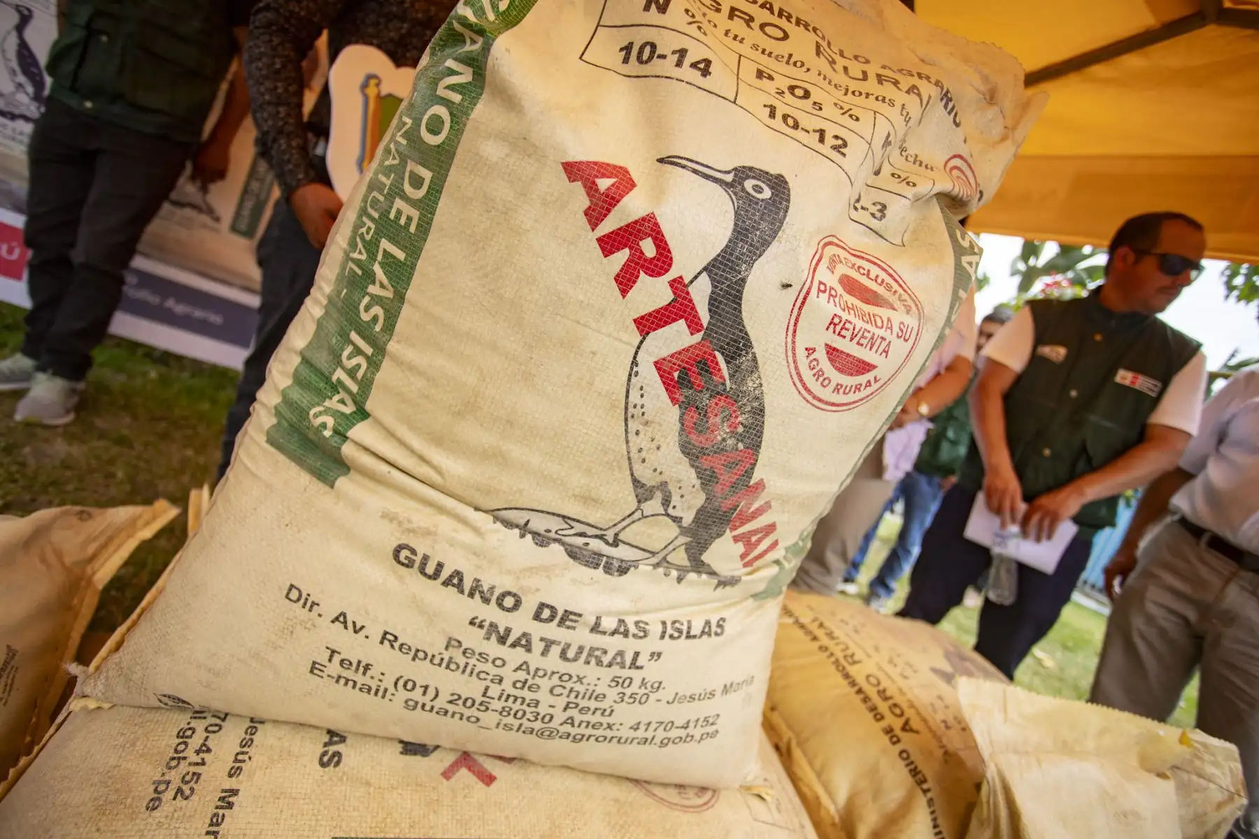 En el marco de las celebraciones por el “Mes de la Agricultura” y el “Día del Campesino”, la ministra de Desarrollo Agrario y Riego, Nelly Paredes del Castillo visitó la provincia de Moyobamba, y participó en el inicio del "Programa de pastos cultivados", una iniciativa para sembrar mil hectáreas de pastos y así fomentar la producción ganadera en San Martín.
Foto: ANDINA/MIDAGRI