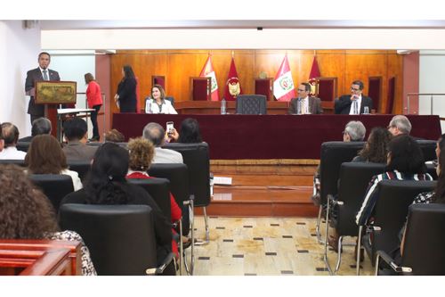 Audiencia del Tribunal Constitucional realizada el 24 de mayo en su sede de Lima. Foto: ANDINA/difusión.