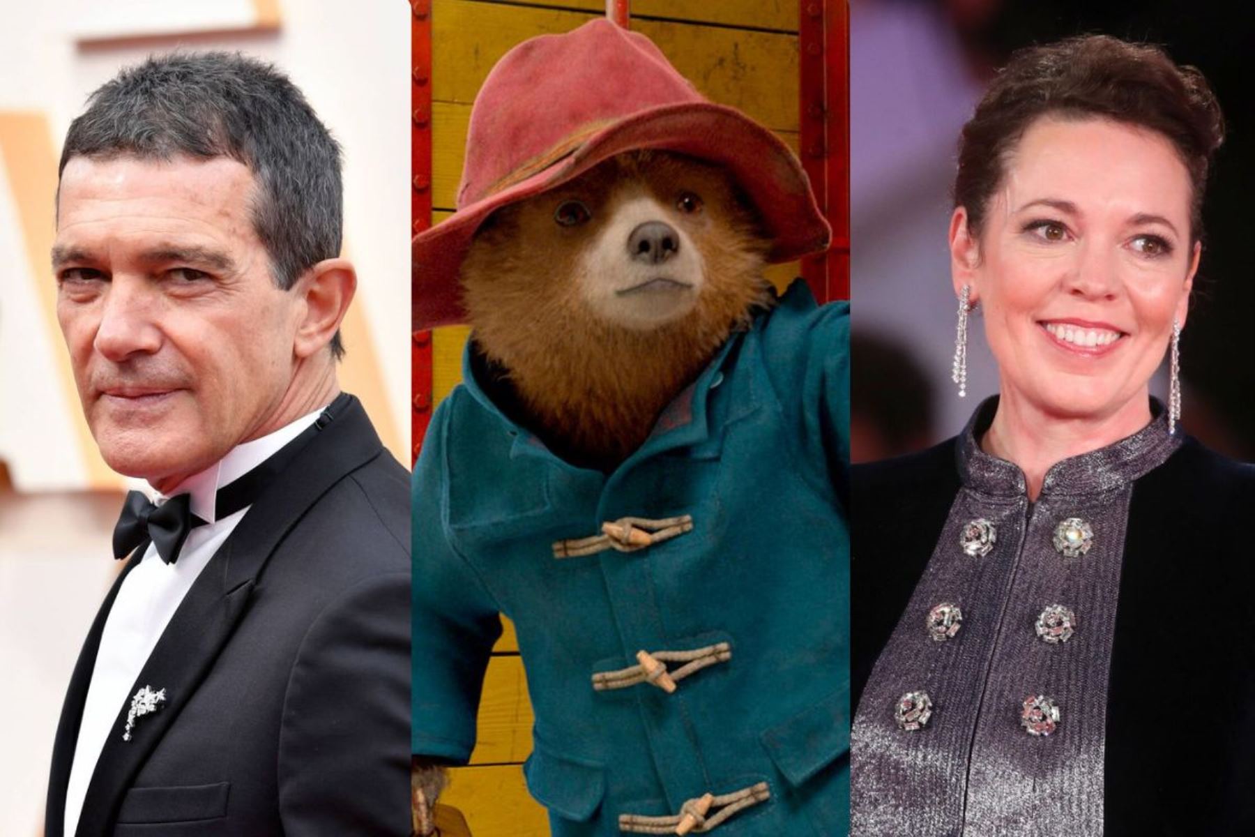 Olivia Colman, Antonio Banderas, Rachel Zegler y Emily Mortimer se unirán al elenco de la película “Paddington en Perú". Foto: INTERNET/Medios