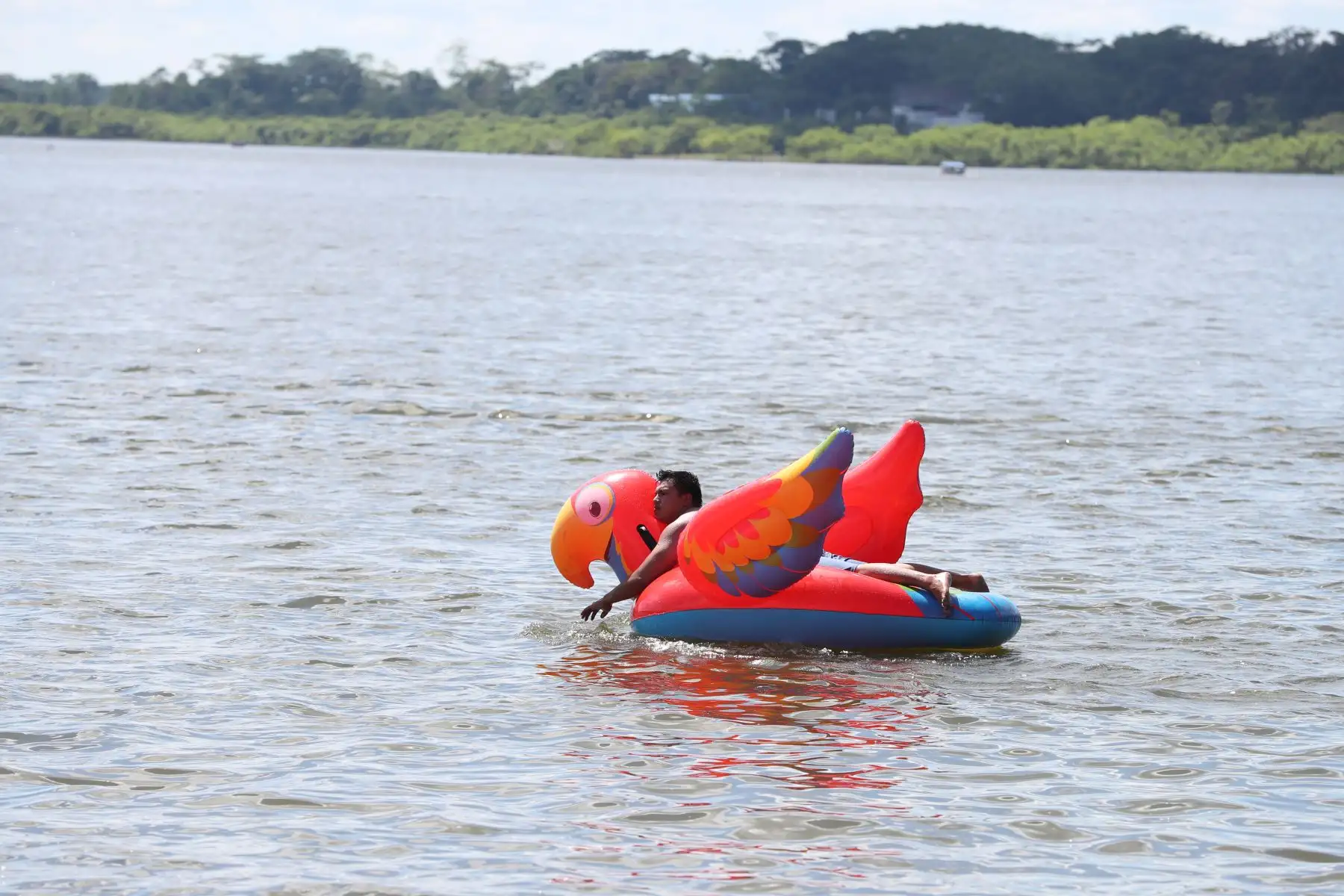 Durante las celebraciones por la fiesta de San Juan, en Pucallpa, actualmente se ha hecho común la práctica de deportes acuáticos y paseos en deslizadores.
Foto: ANDINA/Daniel Bracamonte