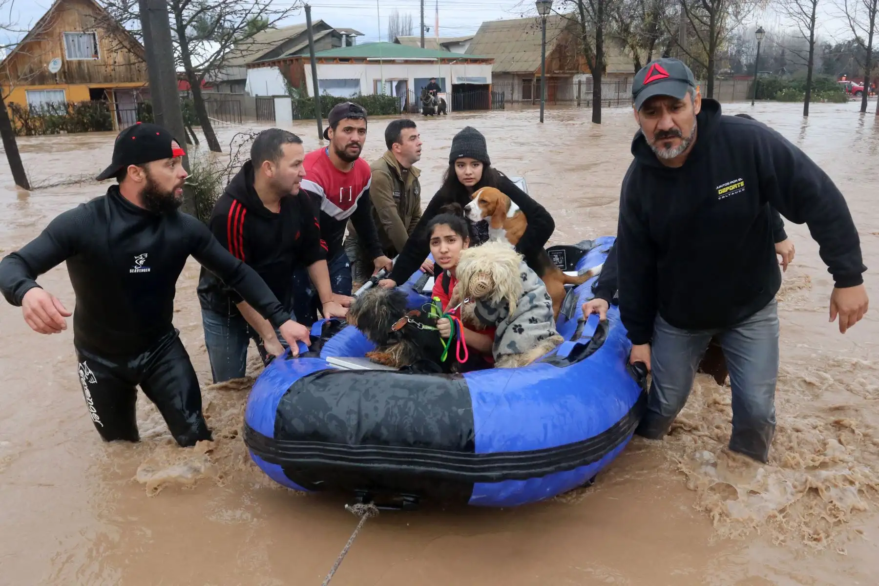 Imagen difundida por Aton Chile que muestra a personas y perros siendo rescatados en un bote inflable en Coltauco, Rancagua, al sur de Santiago, el 24 de junio de 2023, luego de que fuertes lluvias en la región provocaran el desbordamiento del río Cachapoal. Las lluvias en el centro de Chile han dejado dos muertos, seis desaparecidos, 7.977 aislados y 3.383 sin hogar, informó el 24 de junio la ministra del Interior, Carolina Toha.Foto: AFP