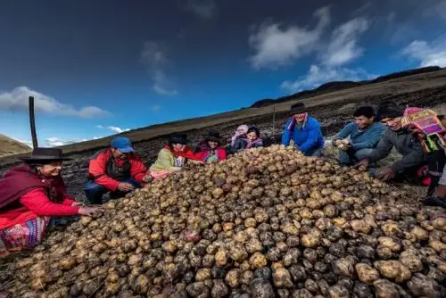 Midagri reconoce planes de desarrrollo territorial y vida pese al covid y cambio climático
