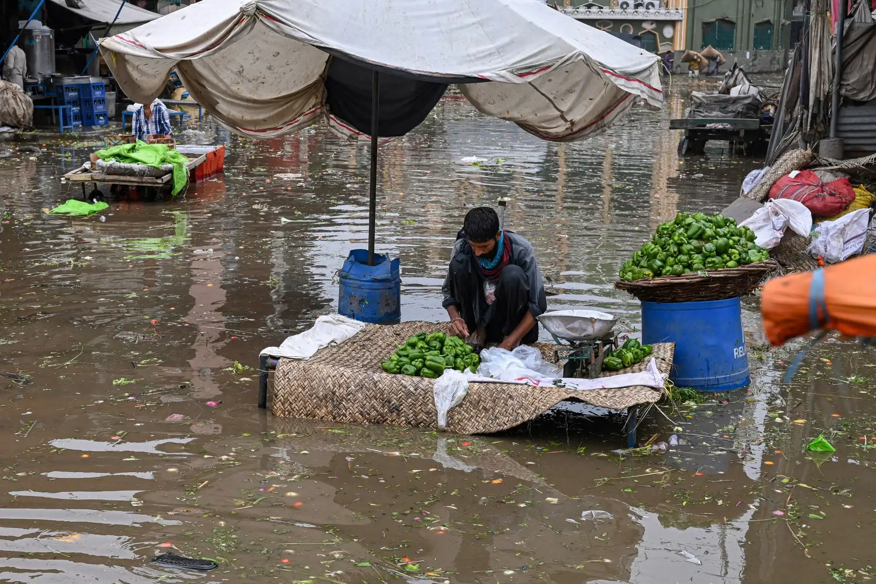 Los niños recogen verduras del agua en un mercado inundado después de fuertes lluvias en Lahore.
Foto: AFP