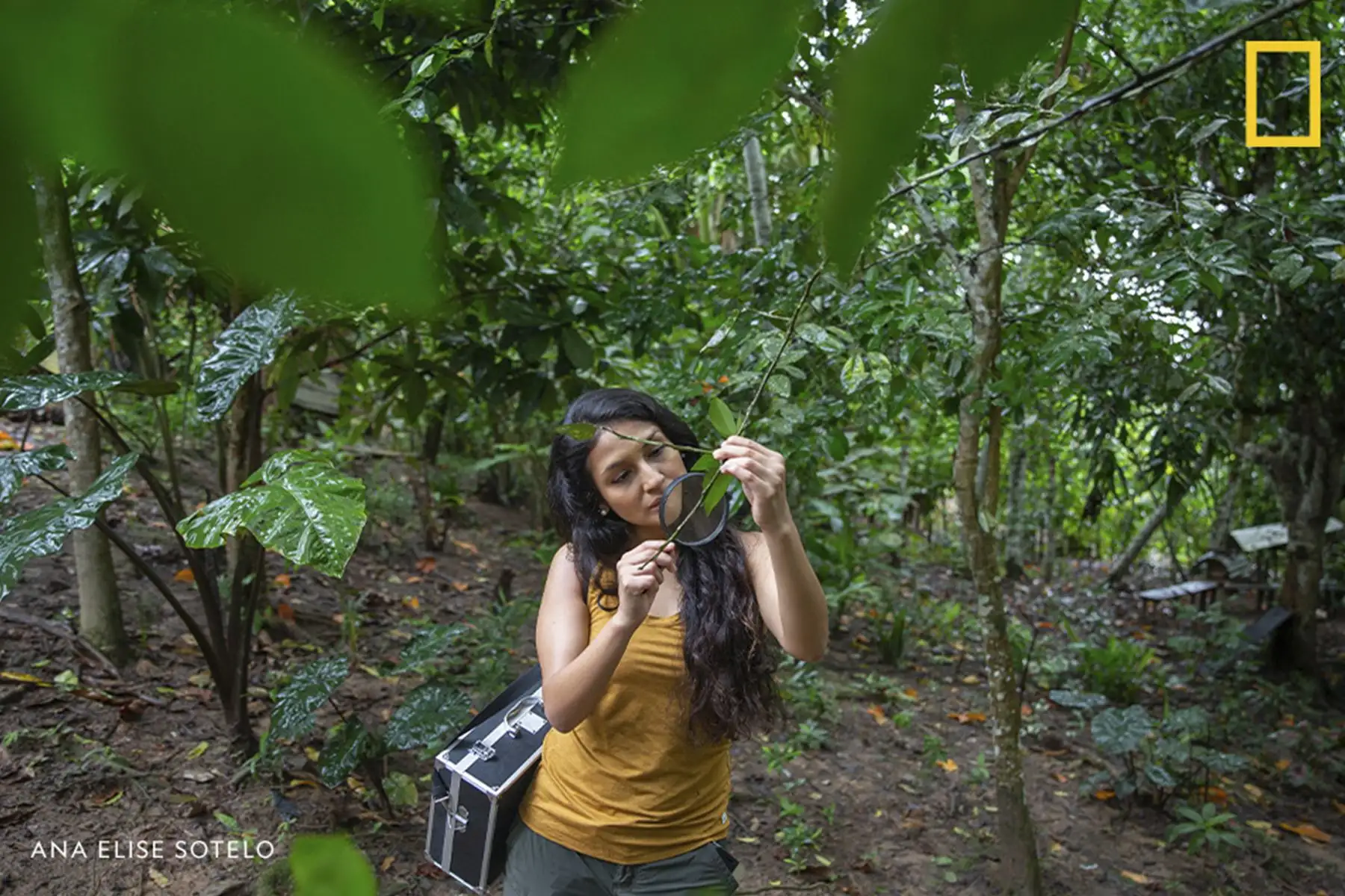 La científica peruana Rosa Vásquez Espinoza, exploradora del National Geographic, señala que los biólogos pueden contribuir con propuestas para reemplazar materiales y prácticas menos sostenibles. Foto: Ana Sotelo/National Geographic