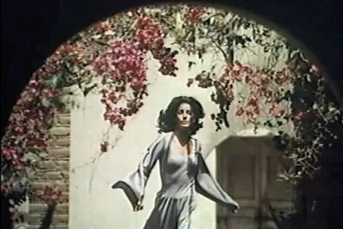 Proyección de la película 