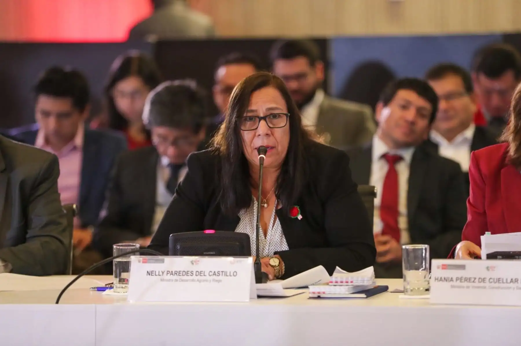 Ministra de Desarrollo Agrario y Riego, Nelly Paredes, participa en el Encuentro Intergubernamental de Preparación ante el Fenómeno El Niño. Foto: Cortesía.