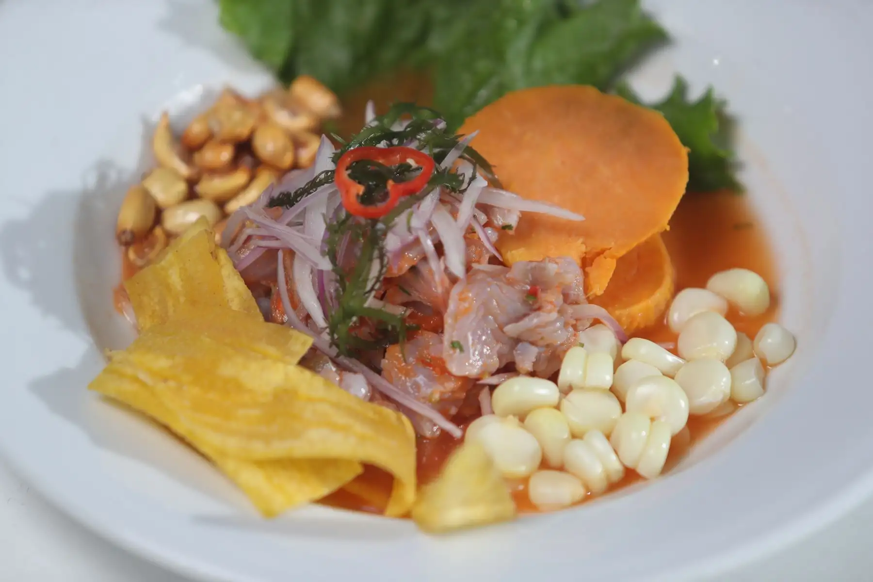 Para Meli Flores, que se sienta el apio picado al masticarlo es parte de su estilo de preparar el platillo de bandera. Ahora presenta un cebiche de merluza. Es cuestión de óptica, porque para públicos extranjeros como los españoles es un pescado blanco caro, cuando acá en Perú aún se le da poco valor. “Aquí, se vende mucha merluza y a la gente la engañan diciéndole que es corvina”, afirma la cebichera. La ética y la sinceridad valen a la hora de presentar los platillos. Foto: ANDINA/Ricardo Cuba