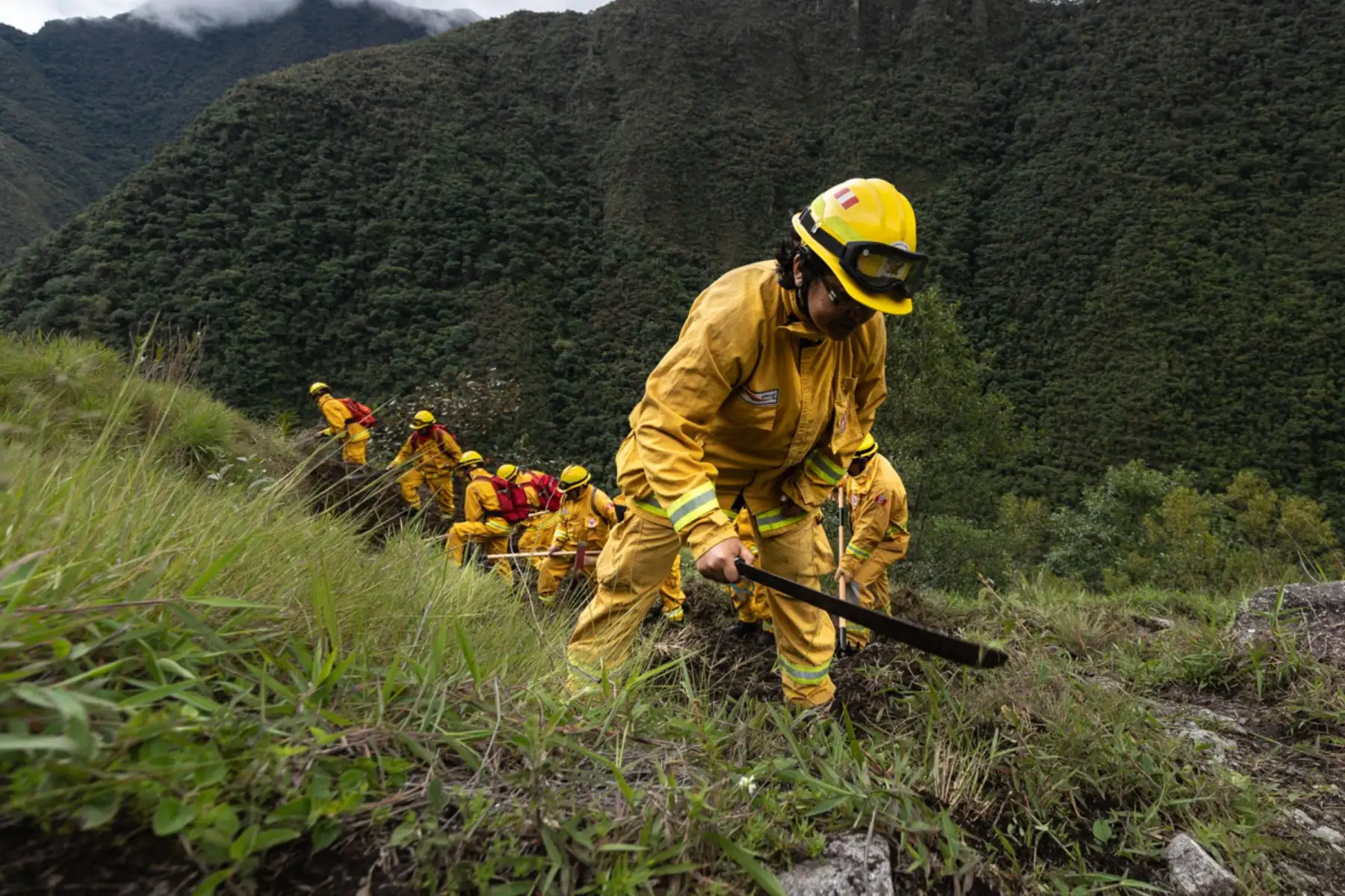 “El 99% de los incendios forestales tienen origen en causas humanas. La gente no confía en el Estado, que debe diseñar una solución integral para reducir incendios. Nuestro objetivo es conservar especies que están en extinción, como el oso de anteojos o el gallito de las rocas, para las futuras generaciones. La llaqta de Machu Picchu es hermosa como sus ecosistemas”, precisa.
Foto: ANDINA/Sernanp