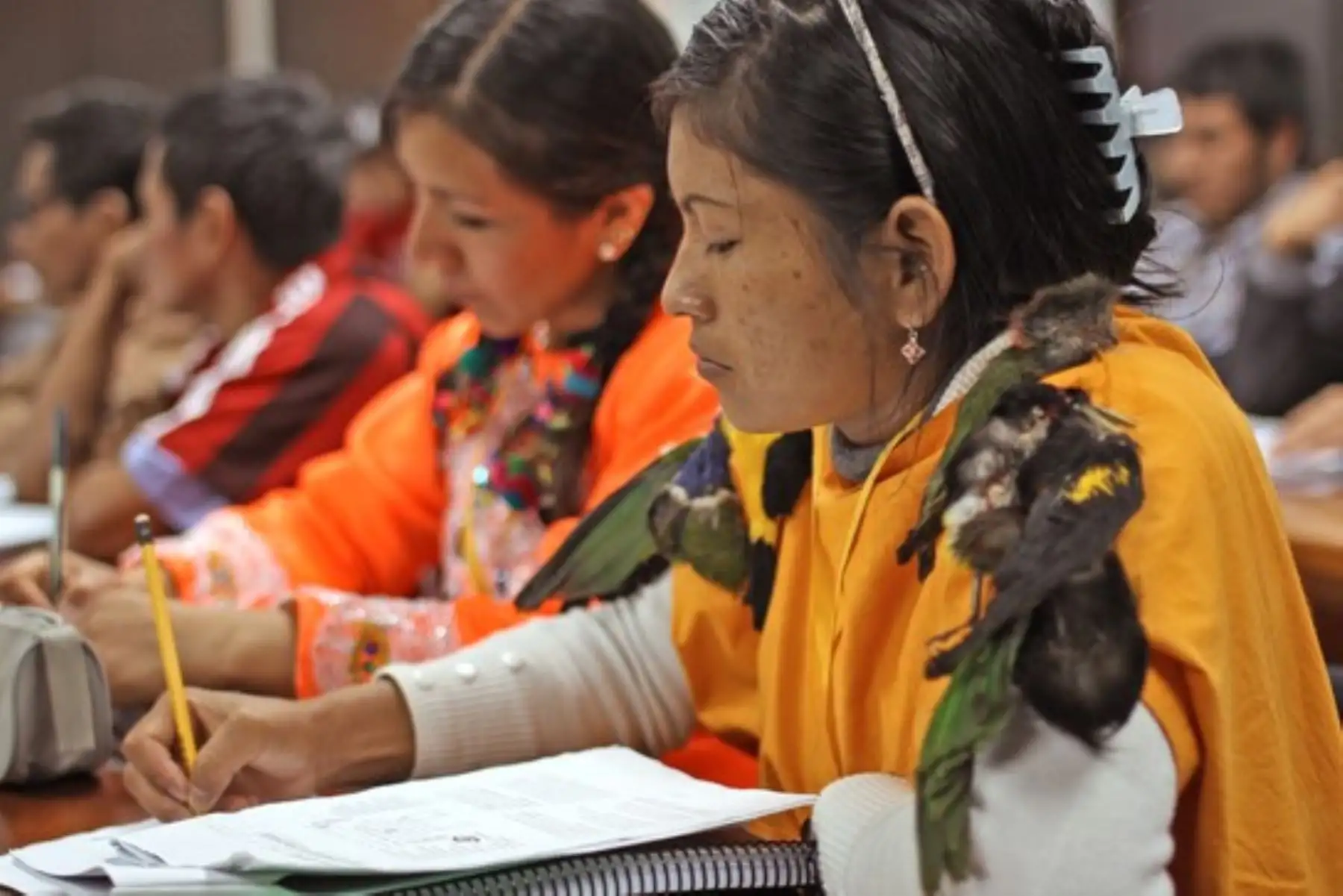 El Ministerio de Cultura recibió expedientes provenientes de 18 regiones, principalmente de San Marín, Loreto, Lima, Amazonas y Ucayali. Foto: Mincul
