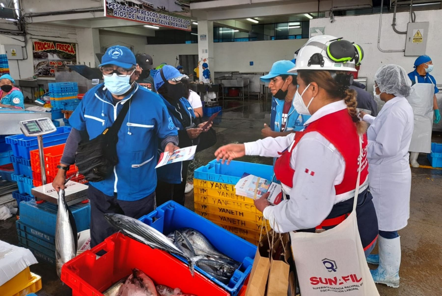 Orientación de personal de Sunafil a trabajadores del sector pesca. Foto:Cortesía.