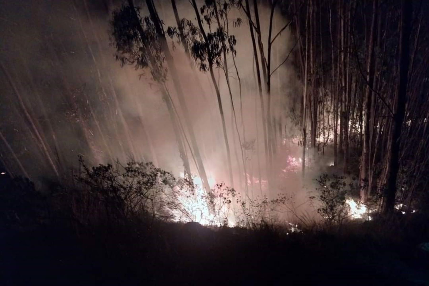 Imagen captada en la zona donde se registra un incendio forestal, provincia de Sihuas. Foto: ANDINA/Difusión.