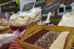 Los cereales andinos, como la quinua, son ideales para enfrentar el frío. INTERNET/Medios