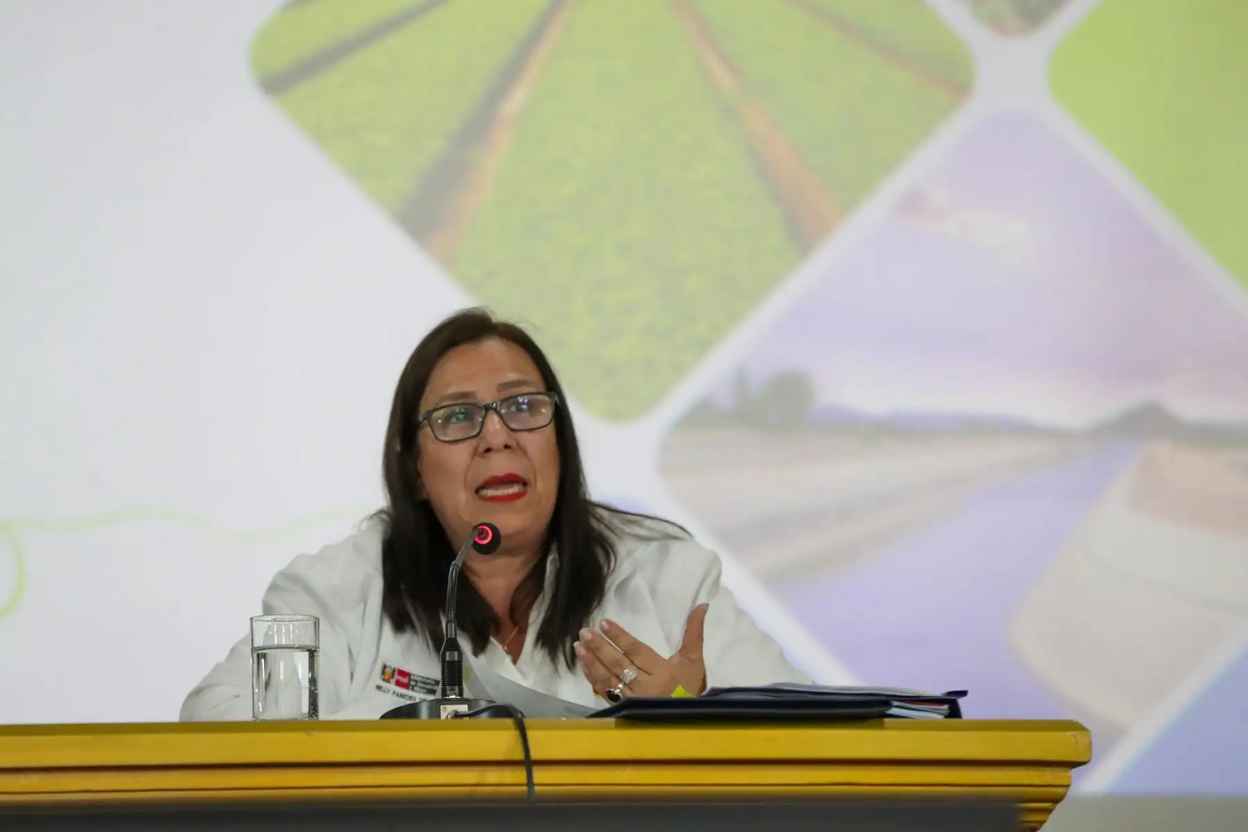 El convenio fue firmado por la ministra de Desarrollo Agrario y Riego, Nelly Paredes del Castillo, y el gobernador regional de La Libertad, César Acuña Peralta. La ceremonia contó con la asistencia de los congresistas Nilza Chacón Trujillo, Víctor Flores Ruíz y Enrique Alva Rojas; los alcaldes provinciales de Ascope, María del Rosario Cortijo, y de Virú, Santos Mendoza Torres, y las autoridades distritales de Chicama, Edilberto Bada Castillo, y de Moche, Robert Chávez Olivos. 
Foto: ANDINA/PCM