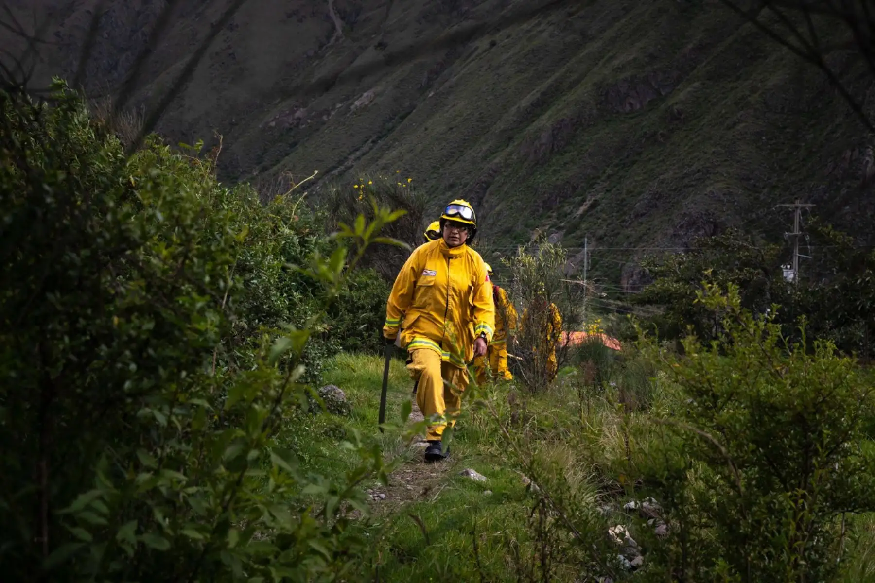 Esta cusqueña, nieta de abuelos que le enseñaron a amar el campo, cuenta que los incendios ocurren principalmente porque los agricultores usan fuego para limpiar sus tierras, a pesar de que está prohibido. Es una práctica ancestral, dice, pero también es más barato para ellos hacerlo, en vez de pagar mano de obra.
Foto: ANDINA/Sernanp