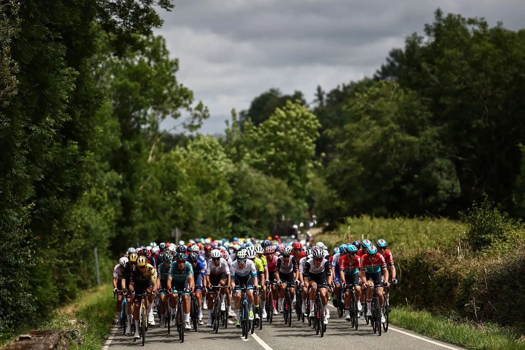El grupo de ciclistas pedalea durante la 1.ª etapa de la 110.ª edición de la carrera ciclista del Tour de Francia, 182 km con salida y llegada en Bilbao, en el norte de España.
Foto: AFP