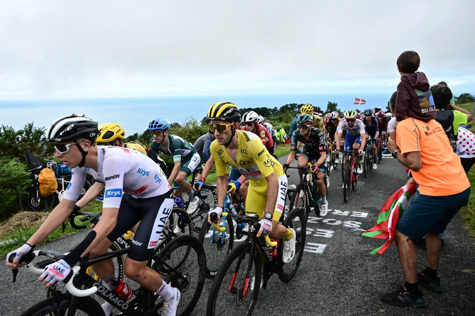 El ciclista francés de Cofidis, Victor Lafay, celebra mientras pedalea hasta la línea de meta para ganar la segunda etapa de la 110.ª edición de la carrera ciclista del Tour de Francia de 208,9 km entre Vitoria-Gasteiz y San Sebastián, en el norte de España, el 2 de julio de 2019. 2023.
Foto: AFP