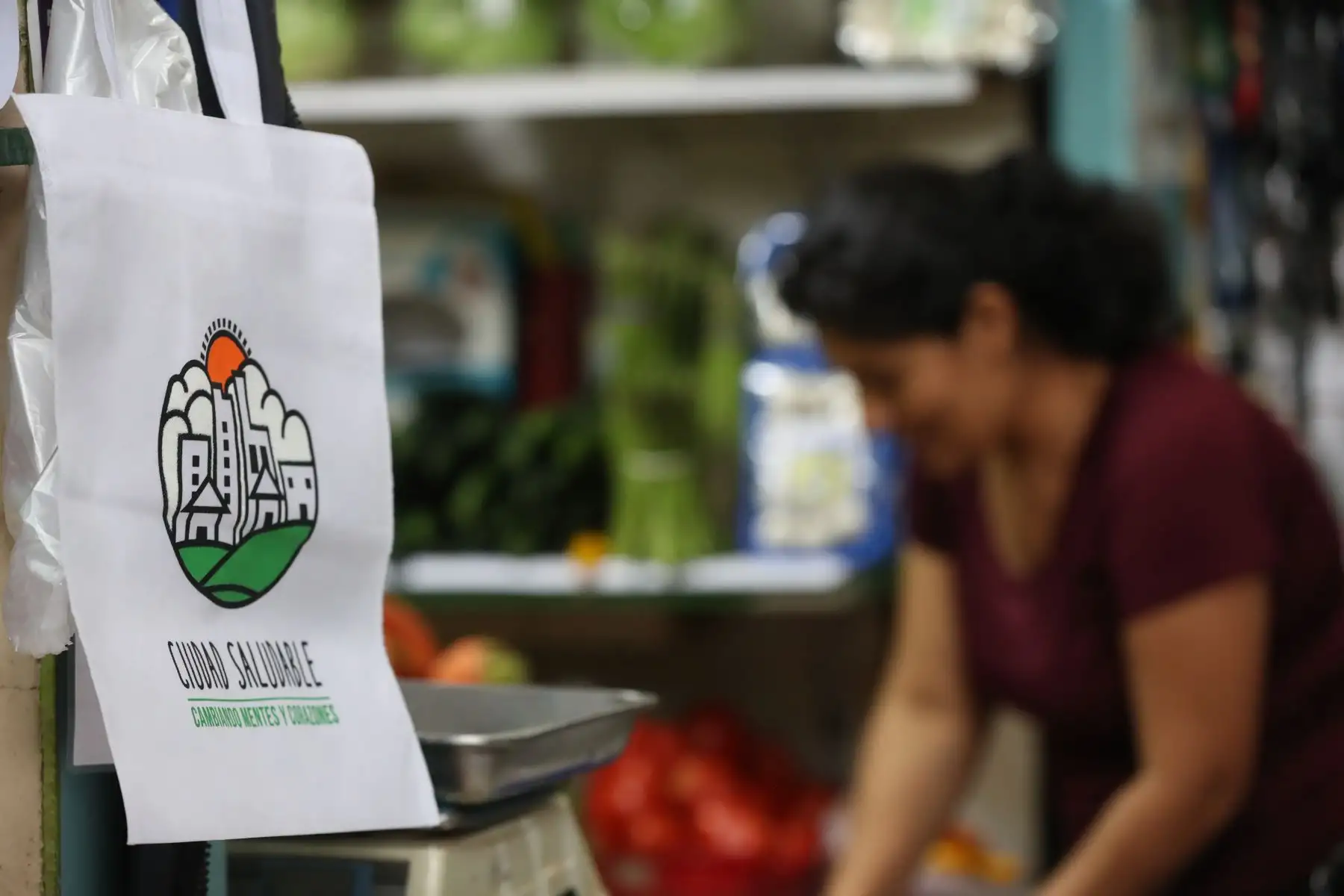 El 3 de julio de cada año se celebra el Día Internacional Libre de Bolsas de Plástico, con el objetivo de reducir las bolsas de plástico de un solo uso y fomentar su consumo responsable por el daño que causan al medio ambiente y a los seres vivientes. Foto: ANDINA/Daniel Bracamonte