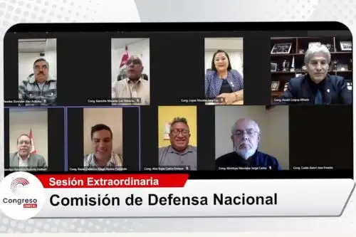 Comisión de Defensa Nacional, Orden Interno, Desarrollo alternativo y Lucha contra las Drogas del Congreso.