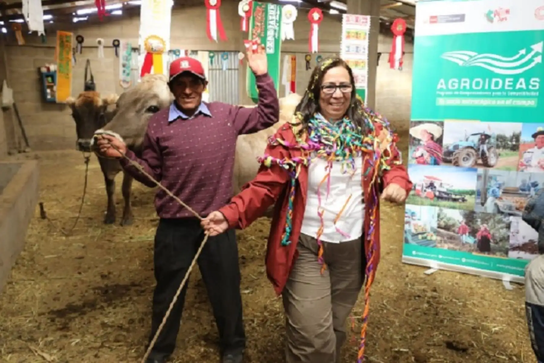 Ministra de Desarrollo Agrario y Riego, Nelly Paredes, entregó cobertizos para proteger al ganado de las heladas en las zonas altoandinas. ANDINA/Difusión